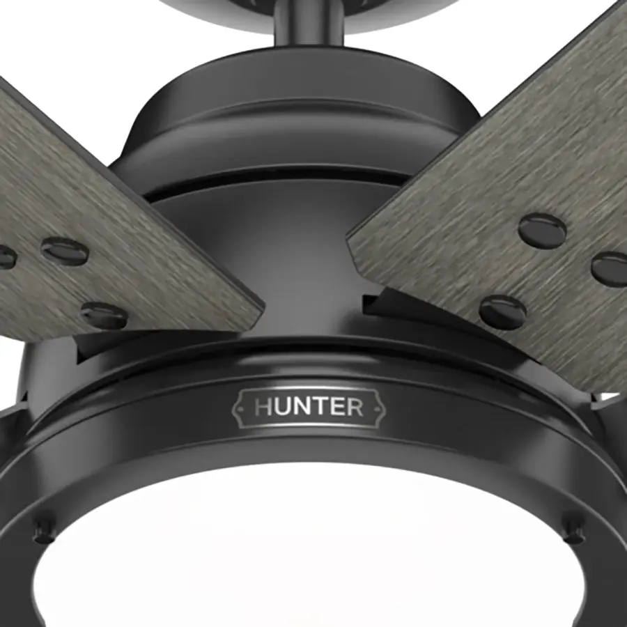 The Ceiling Fans by Hunter - Image 34