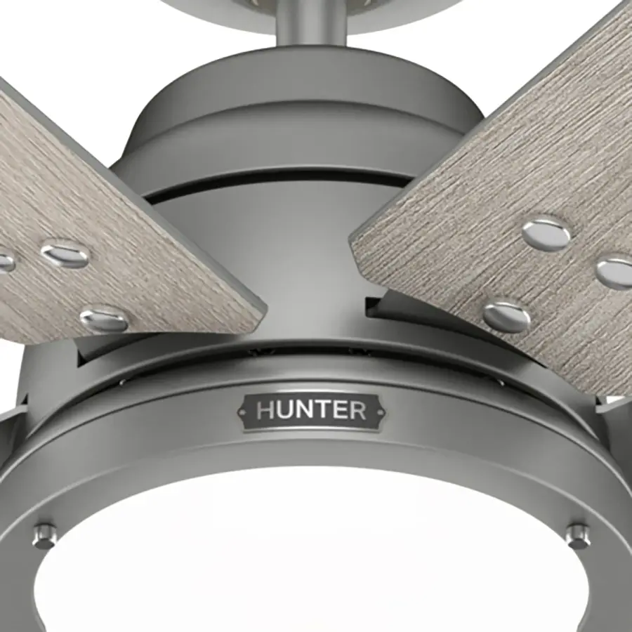 The Ceiling Fans by Hunter - Image 35