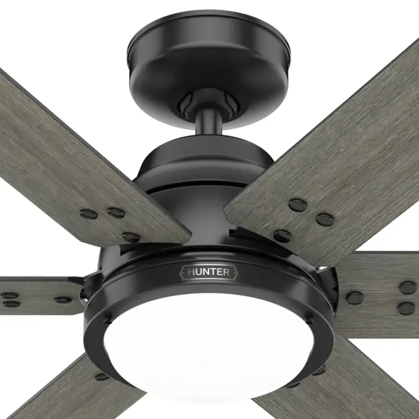 The Ceiling Fans by Hunter - Image 37
