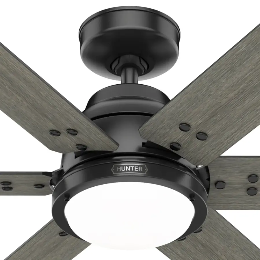 The Ceiling Fans by Hunter - Image 37