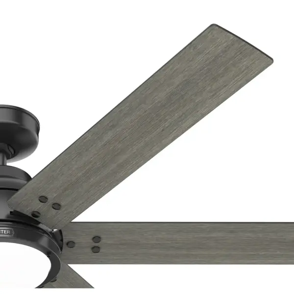 The Ceiling Fans by Hunter - Image 40