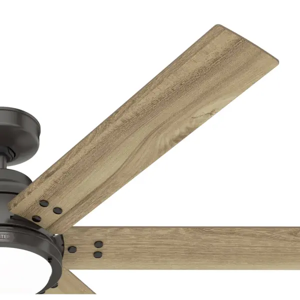 The Ceiling Fans by Hunter - Image 42