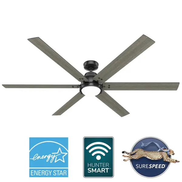 The Ceiling Fans by Hunter - Image 43