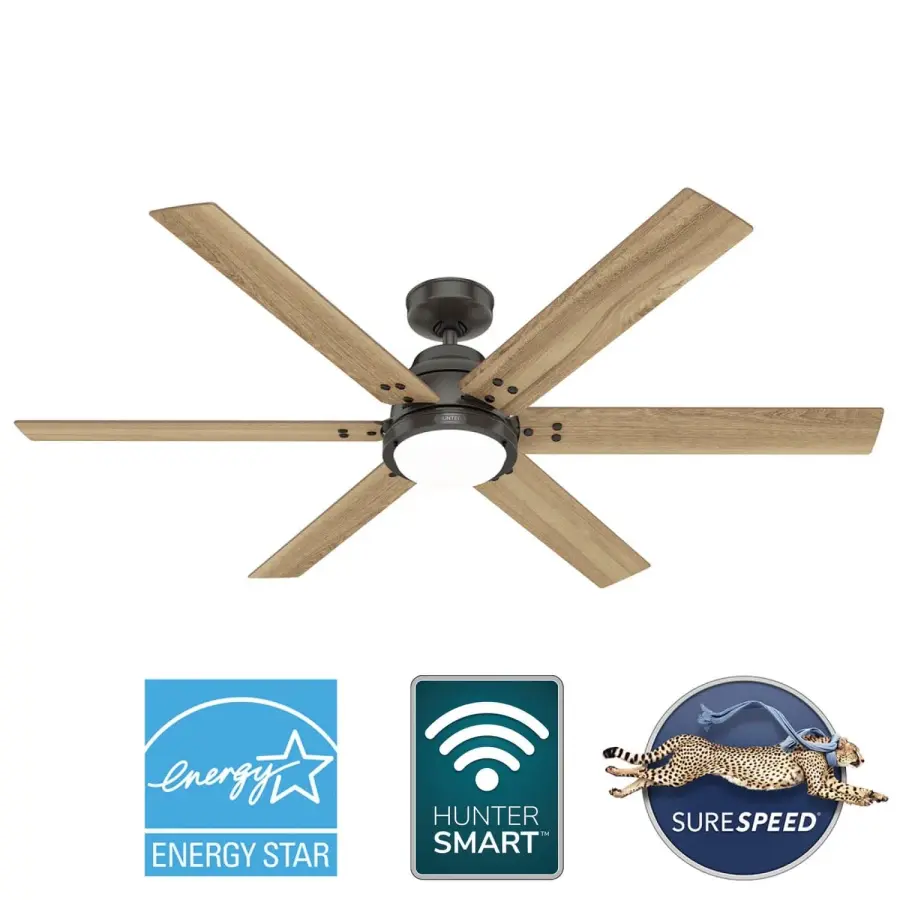 The Ceiling Fans by Hunter - Image 45