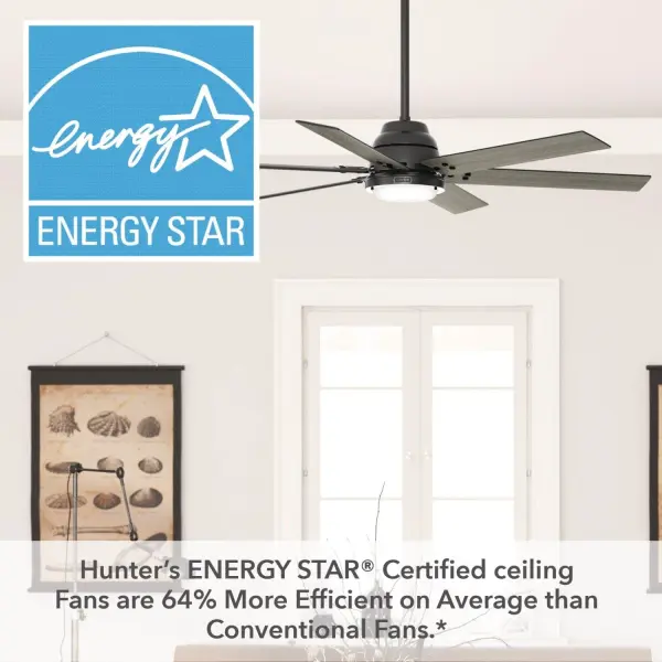 The Ceiling Fans by Hunter - Image 46