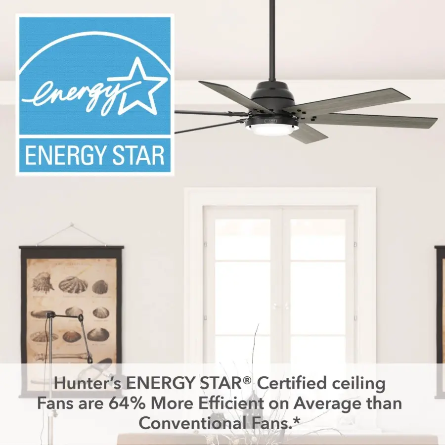 The Ceiling Fans by Hunter - Image 46