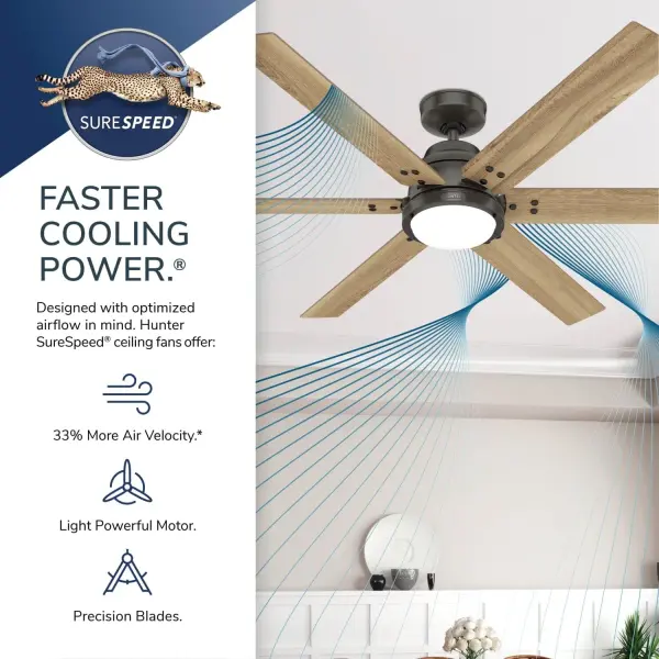 The Ceiling Fans by Hunter - Image 52