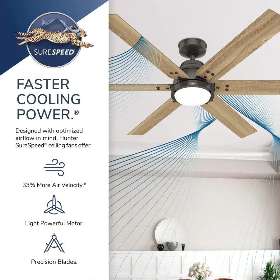 The Ceiling Fans by Hunter - Image 52