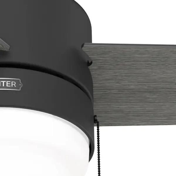 The Ceiling Fans by Hunter - Image 19