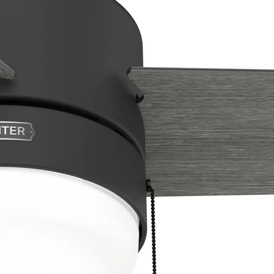 The Ceiling Fans by Hunter - Image 19