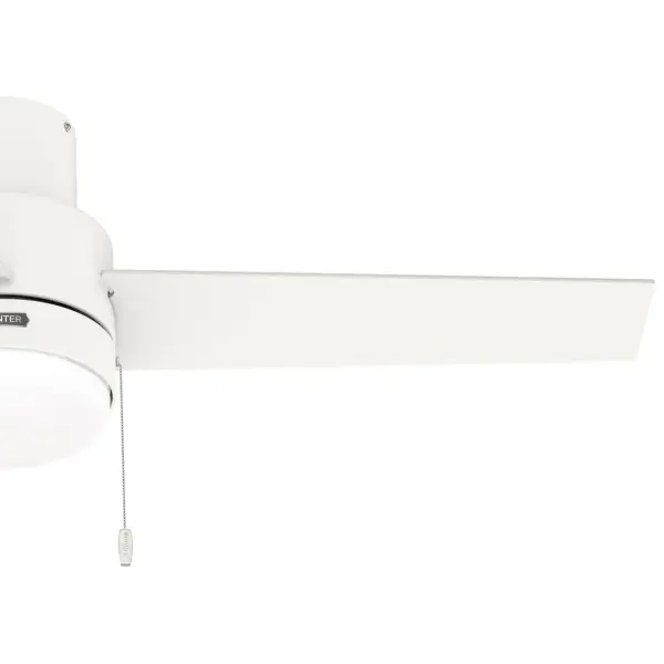 The Ceiling Fans by Hunter - Image 28