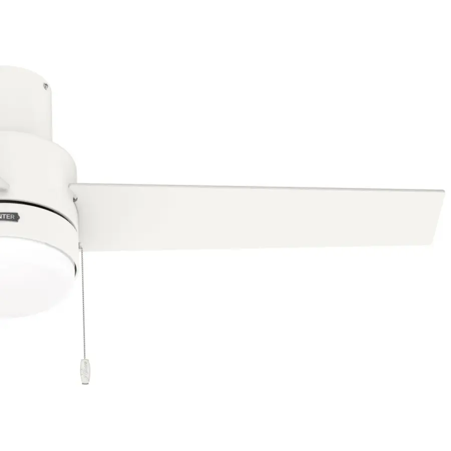 The Ceiling Fans by Hunter - Image 28