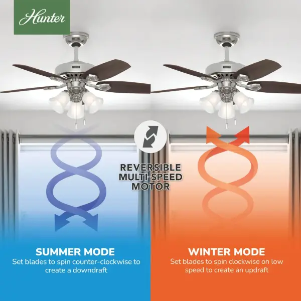 The Ceiling Fans by Hunter - Image 15