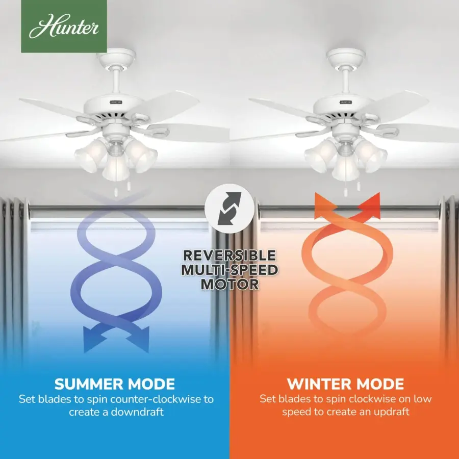 The Ceiling Fans by Hunter - Image 17