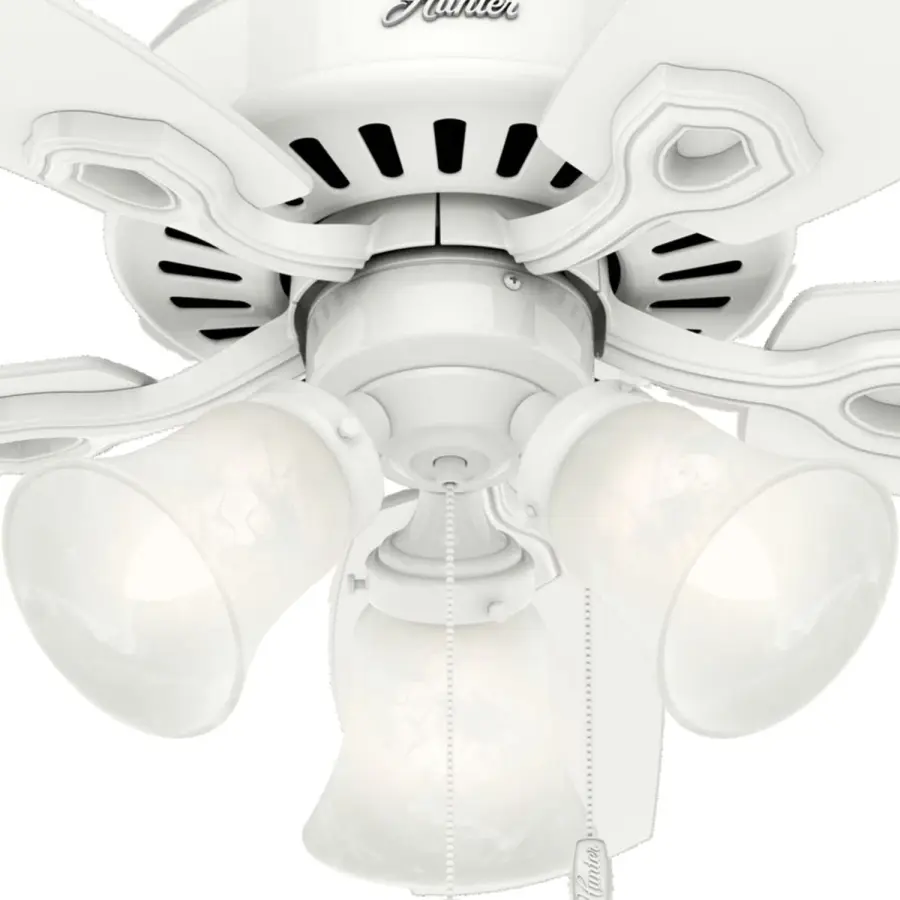 The Ceiling Fans by Hunter - Image 26