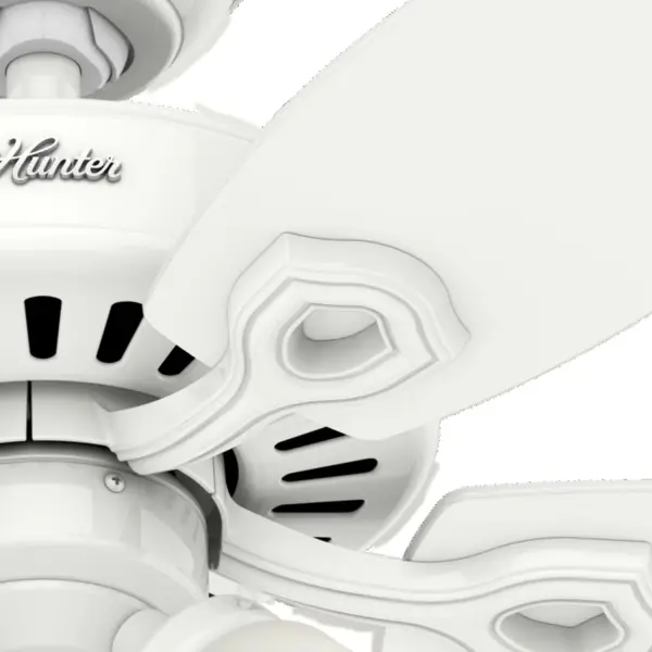 The Ceiling Fans by Hunter - Image 29