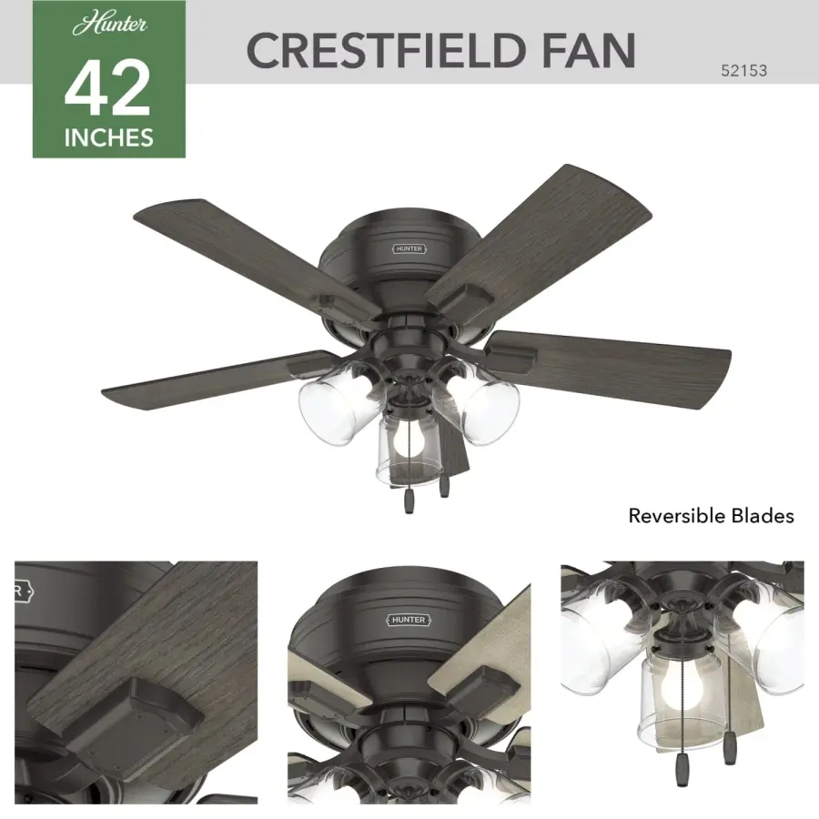 The Ceiling Fans by Hunter - Image 11