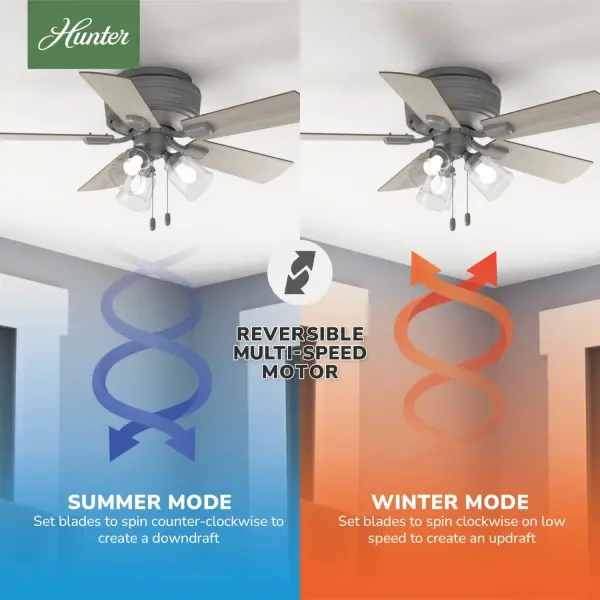 The Ceiling Fans by Hunter - Image 22