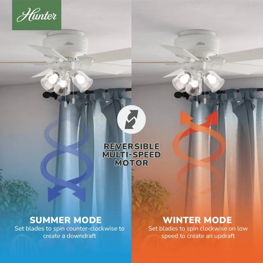 The Ceiling Fans by Hunter - Image 23