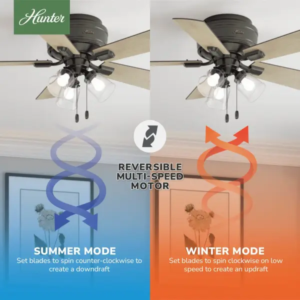 The Ceiling Fans by Hunter - Image 24