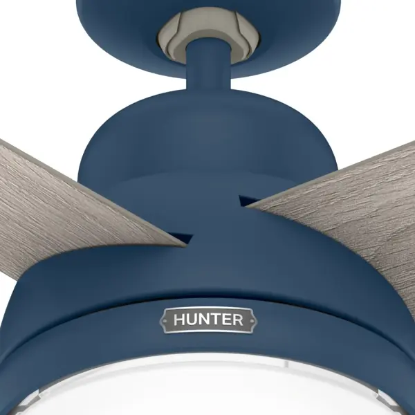 The Ceiling Fans by Hunter - Image 12