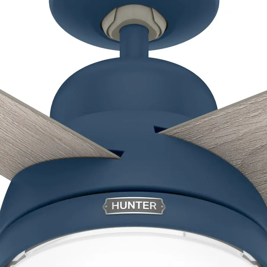 The Ceiling Fans by Hunter - Image 12