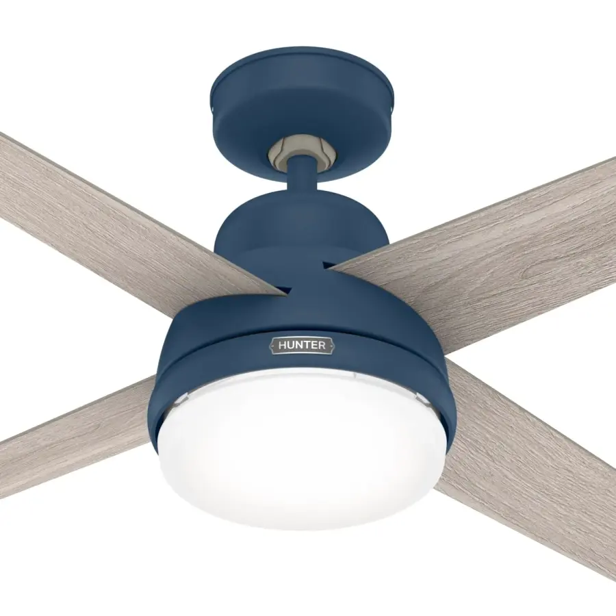 The Ceiling Fans by Hunter - Image 13
