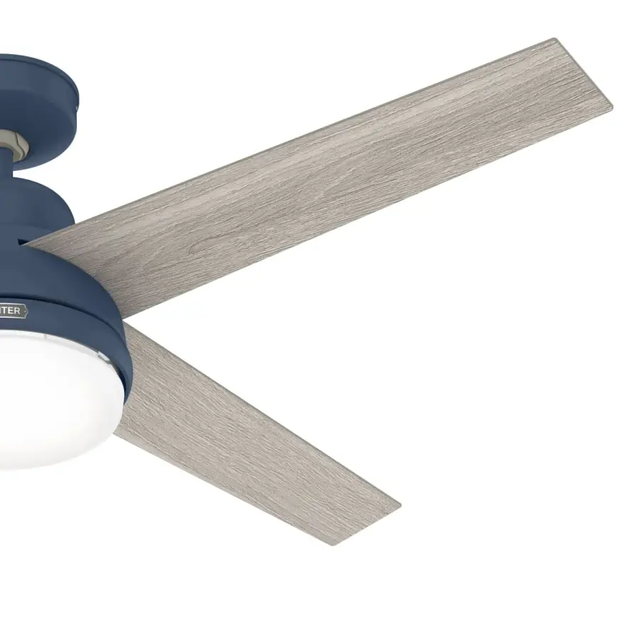 The Ceiling Fans by Hunter - Image 14