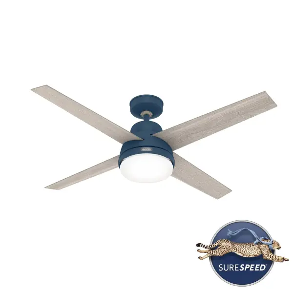 The Ceiling Fans by Hunter - Image 15