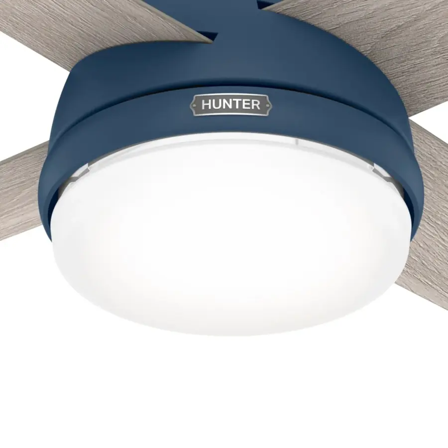 The Ceiling Fans by Hunter - Image 10