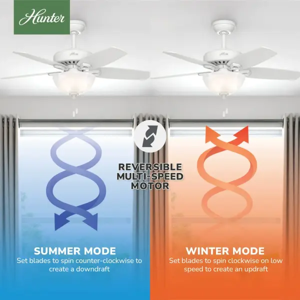 Builder with Light 42 inch - Image 16