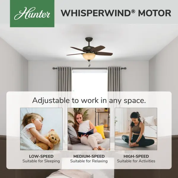 Builder with Light 42 inch - Image 48