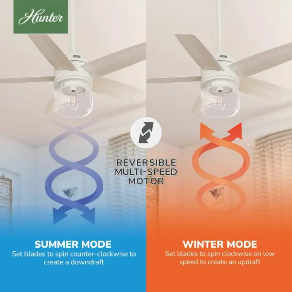 Margo with Light 44inch - Image 11