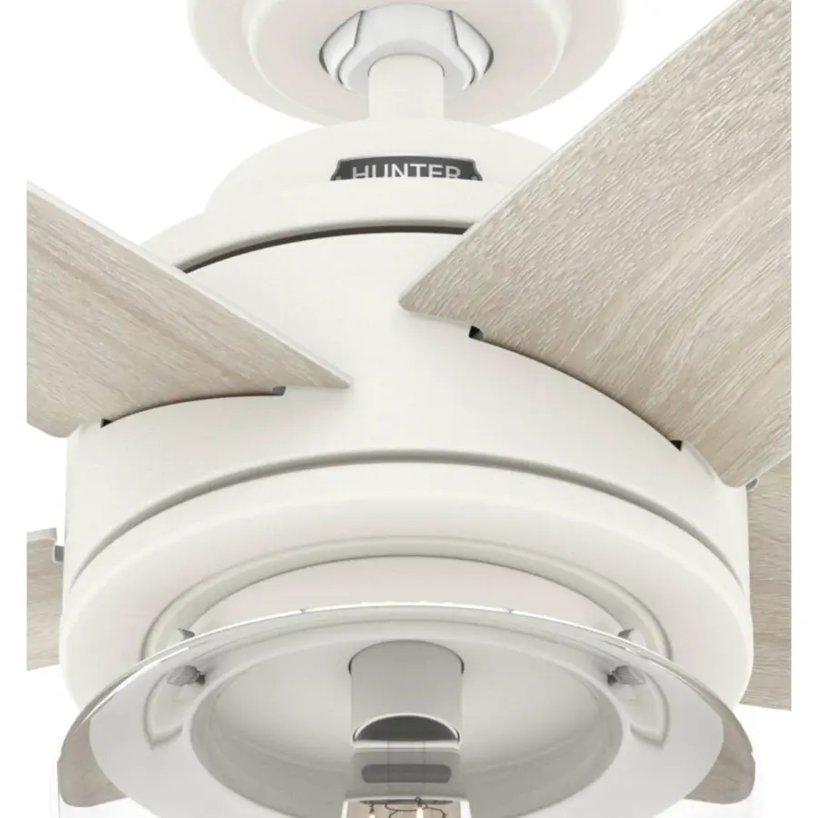 Margo with Light 44inch - Image 24