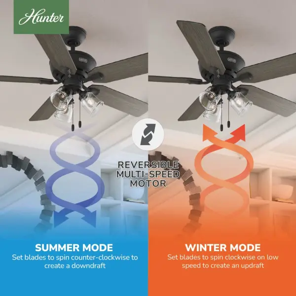 Rosner with 3 Lights 52 inch - Image 15