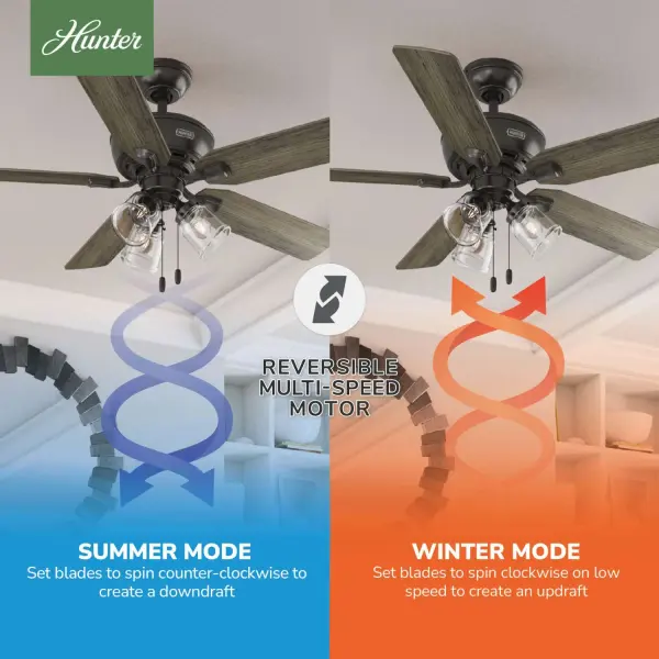 Rosner with 3 Lights 52 inch - Image 16