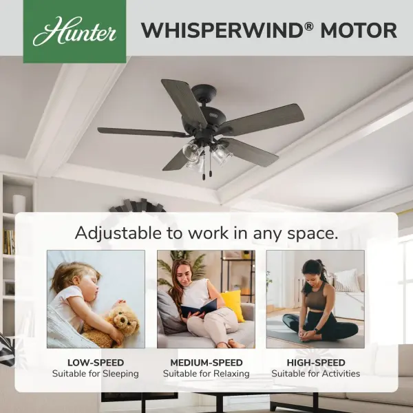 Rosner with 3 Lights 52 inch - Image 45