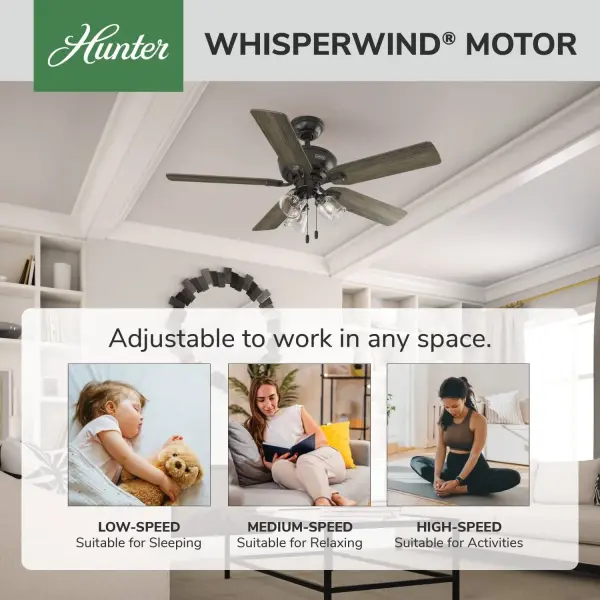 Rosner with 3 Lights 52 inch - Image 46