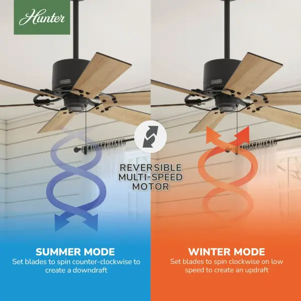 Gilrock No Light 52 inch - Image 14