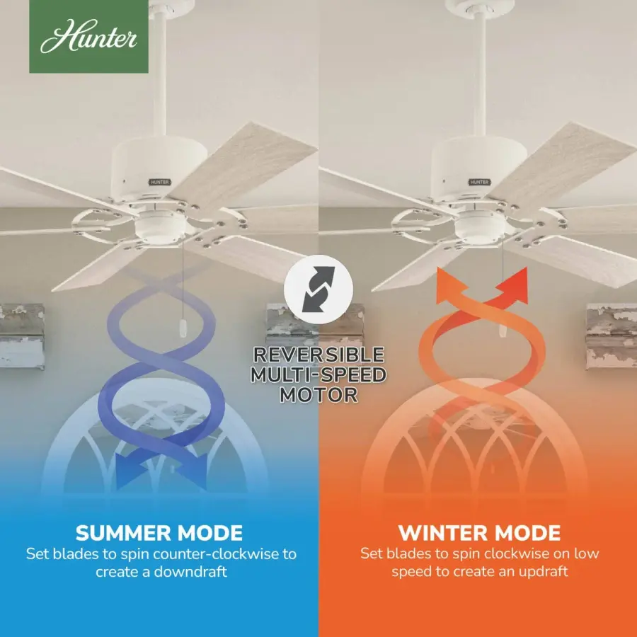 Gilrock No Light 52 inch - Image 15