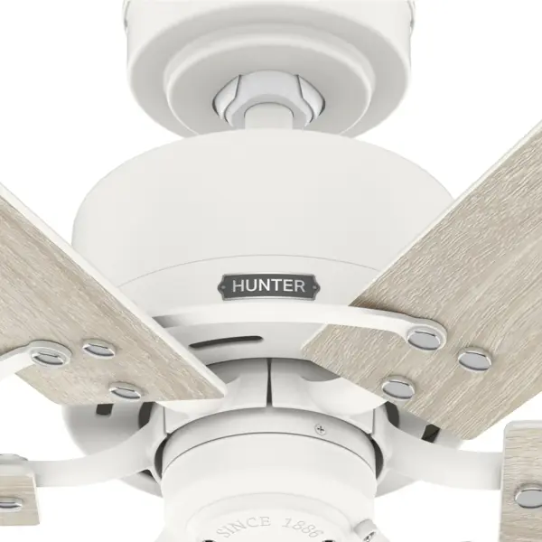 Gilrock No Light 52 inch - Image 30