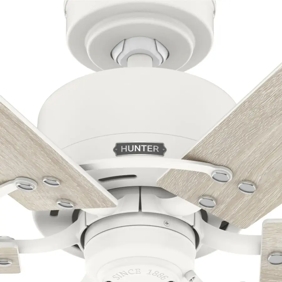 Gilrock No Light 52 inch - Image 30