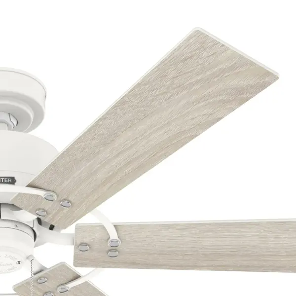 Gilrock No Light 52 inch - Image 39