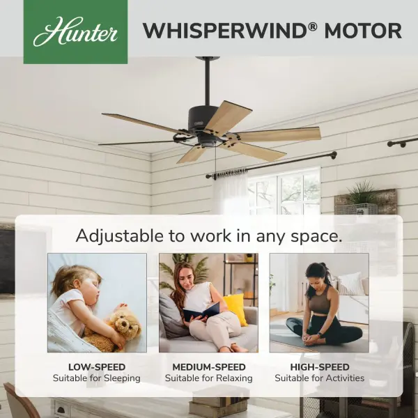 Gilrock No Light 52 inch - Image 44