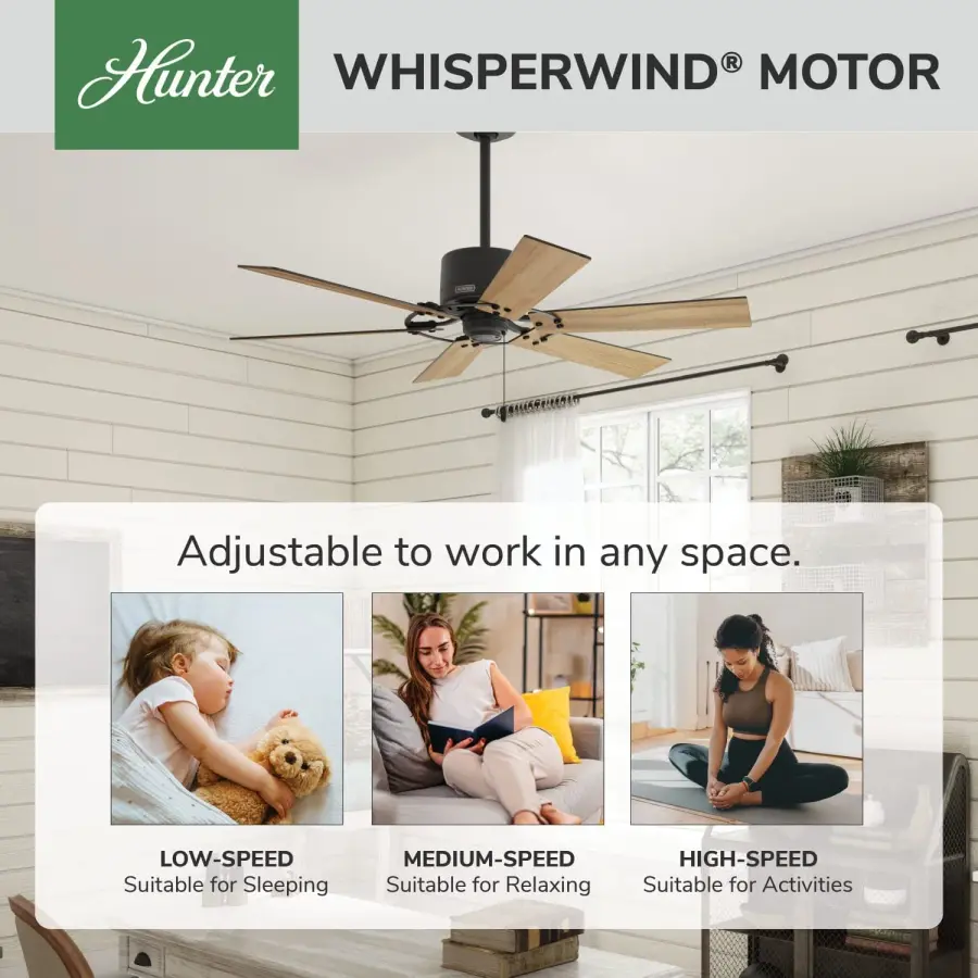 Gilrock No Light 52 inch - Image 44