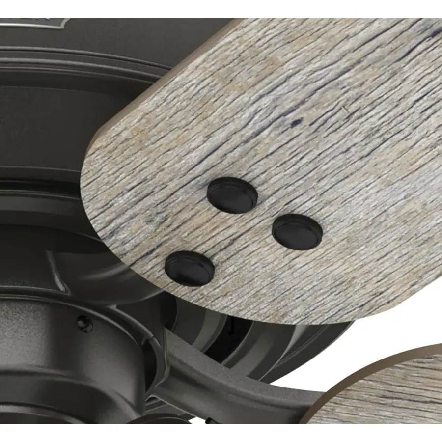 Shady Grove with 3 lights 52 inch - Image 29