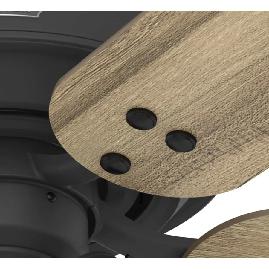 Shady Grove with 3 lights 52 inch - Image 31