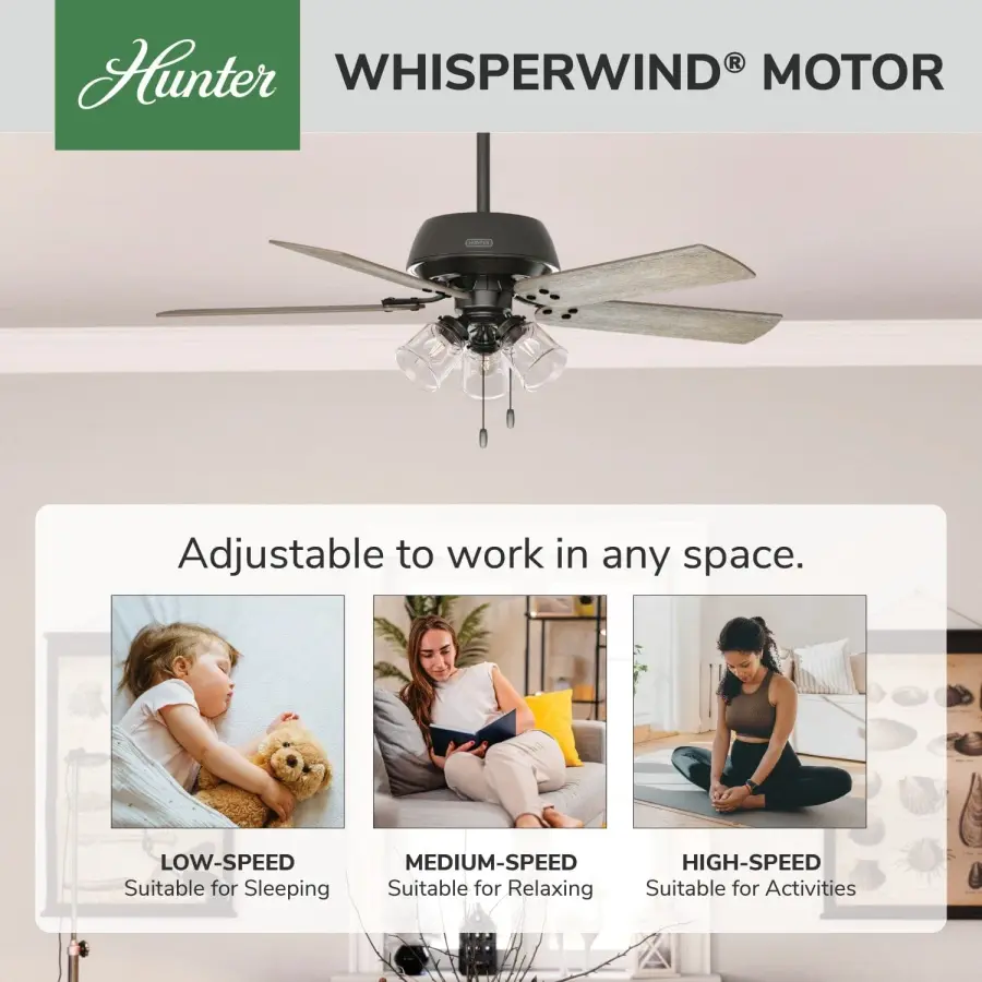 Shady Grove with 3 lights 52 inch - Image 50