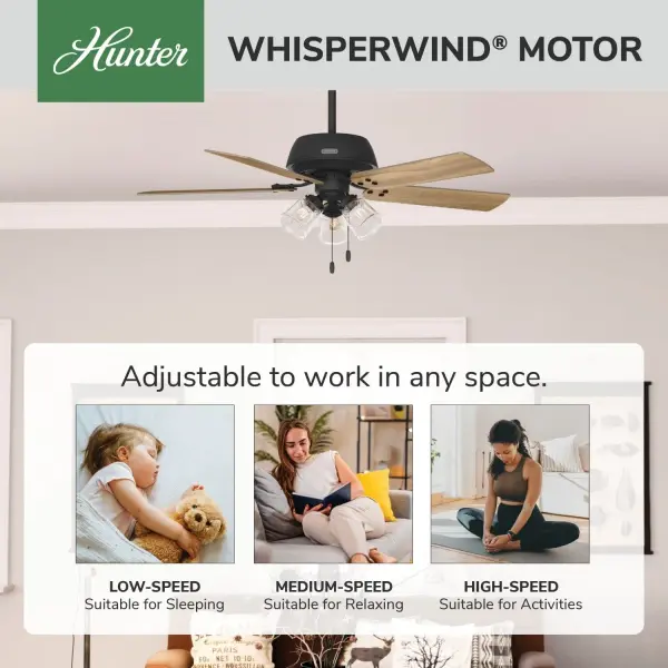 Shady Grove with 3 lights 52 inch - Image 52