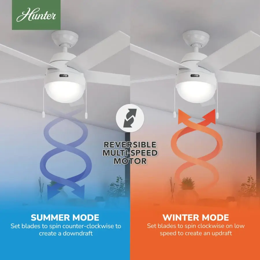 Anslee with LED Light 52 inch - Image 15